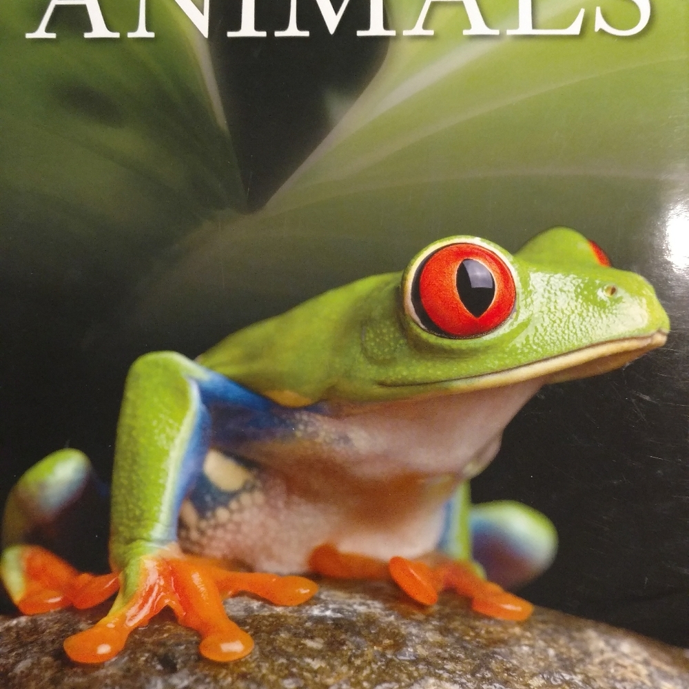 Book about the Rainforest Animals